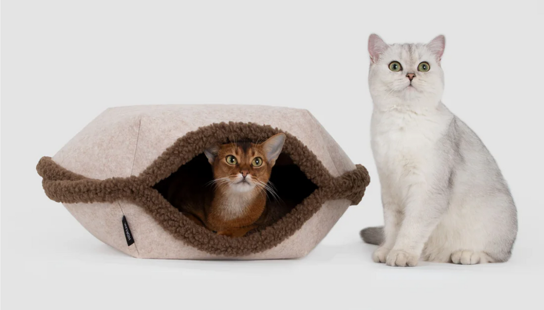 HiDREAM Egg Tart Multi-Functional Cat Bed