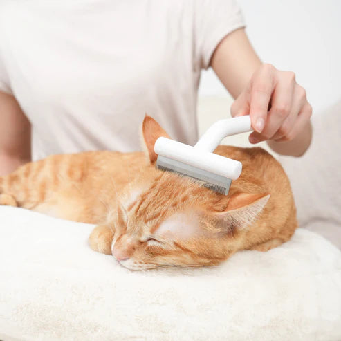 Aumuca for Shorthair De-Shedding Cat/Dog Shedding Tool