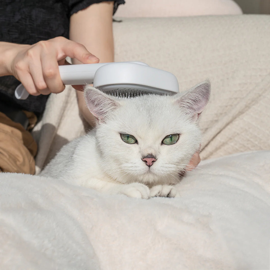 Aumuca for All Breeds Grooming Self Cleaning Slicker Brush